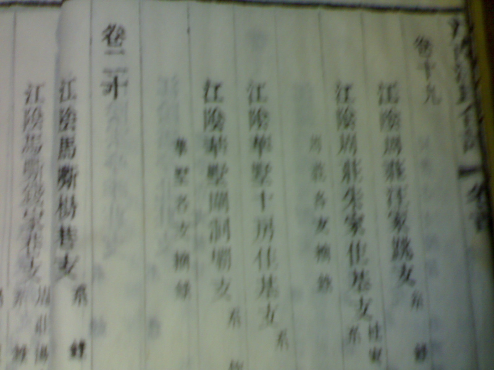 20101002028.jpg