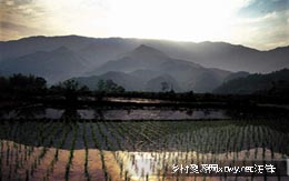 裔村.jpg