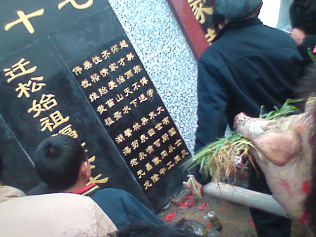 图像014.jpg