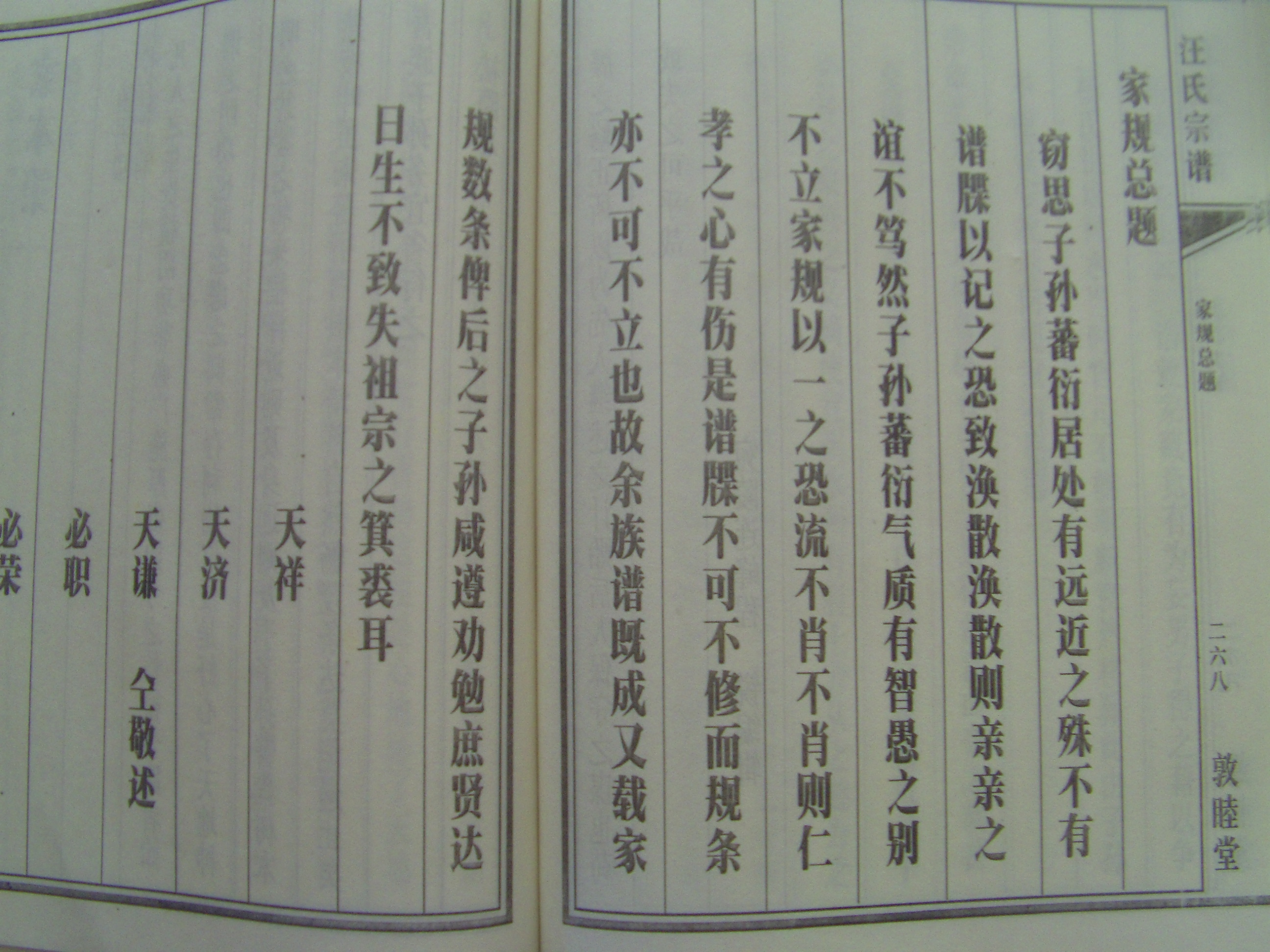 家族总规