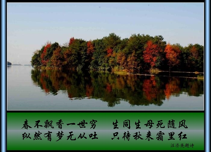 122203b6tzxvtvun6rz3tn.jpg