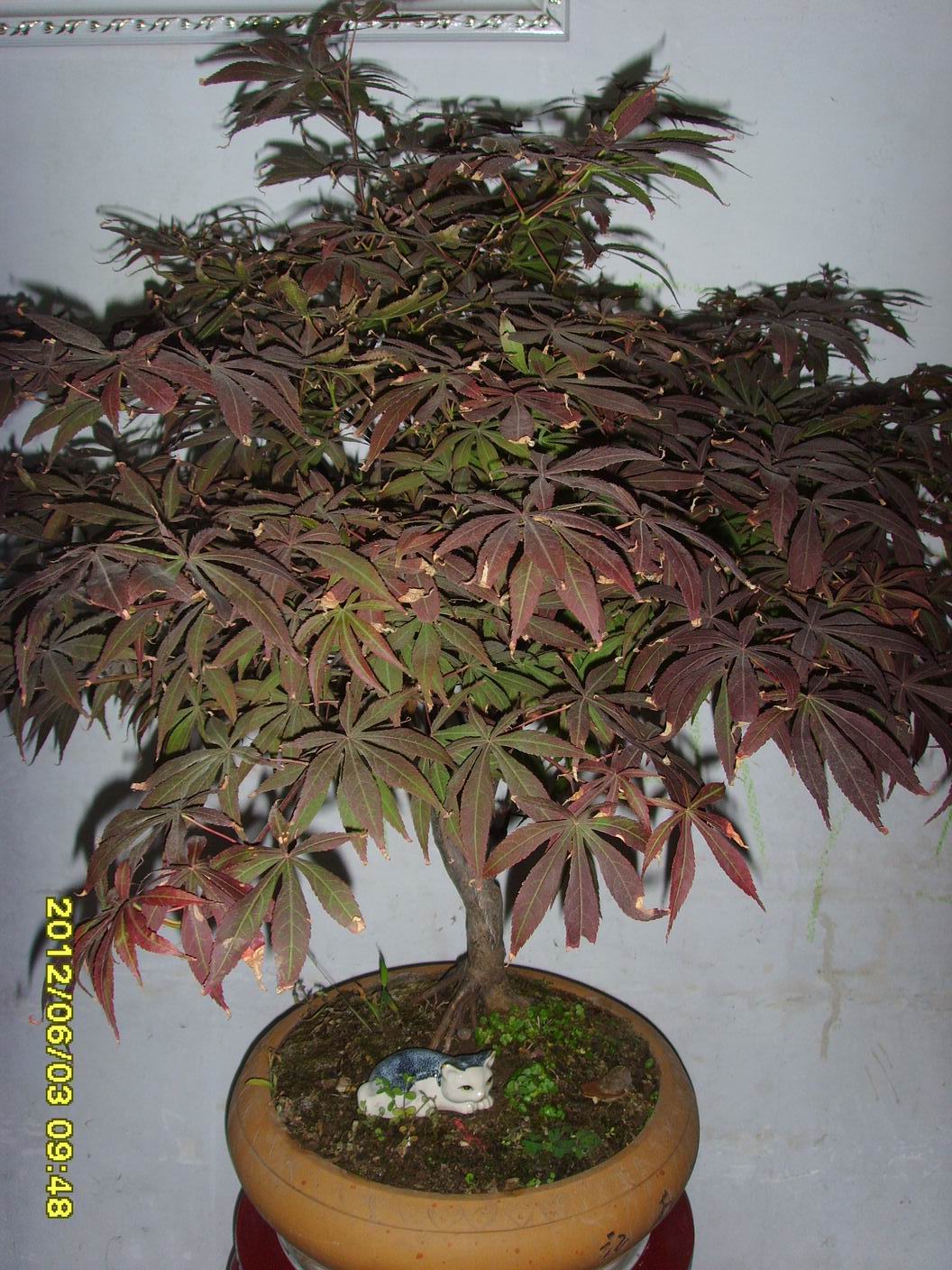 SSL27581.jpg