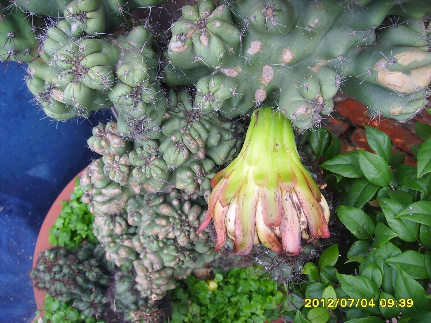 SSL27618.jpg