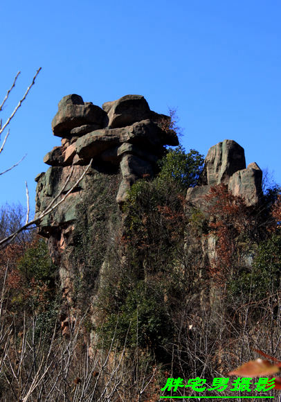 201012914103560.jpg