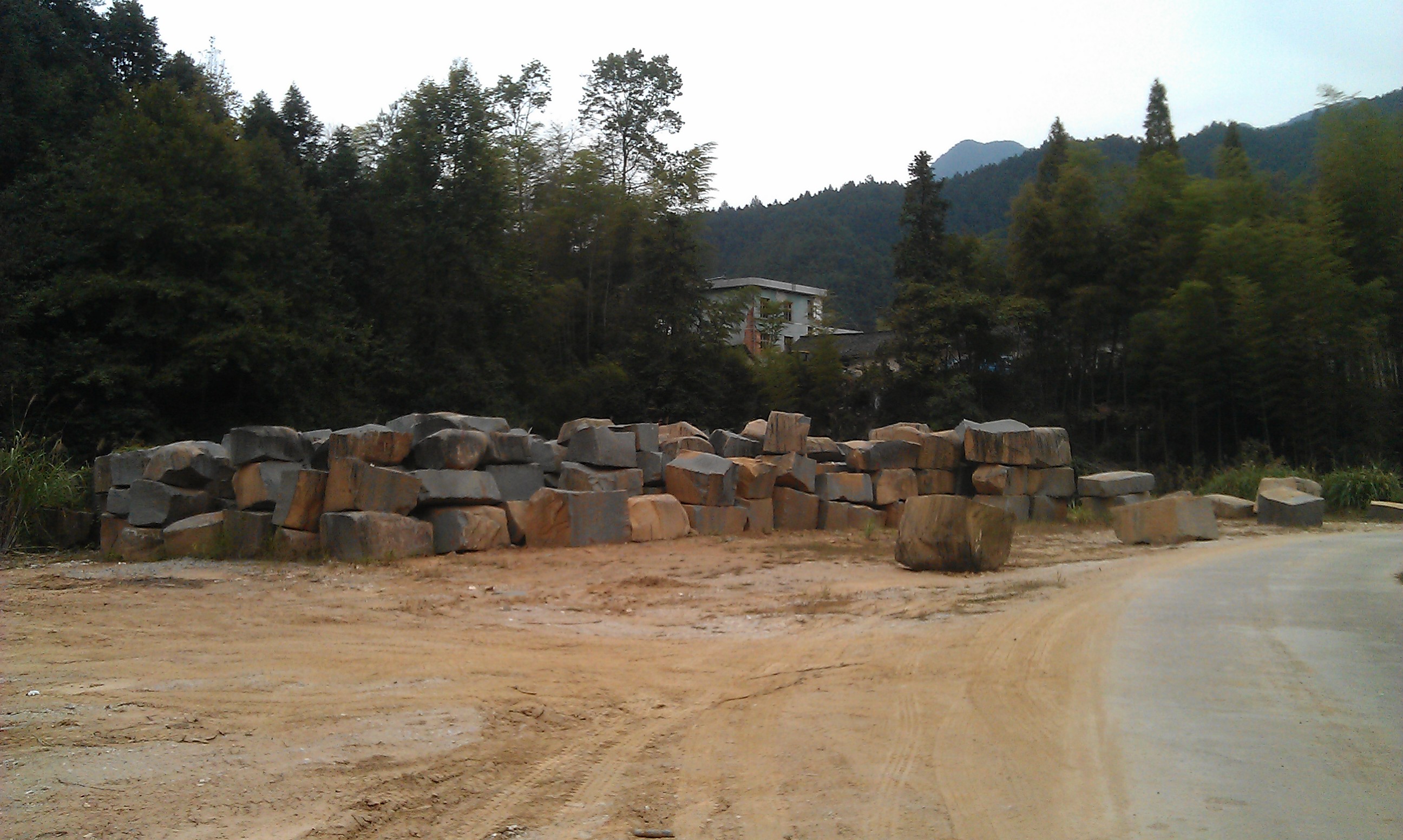 IMAG0130.jpg